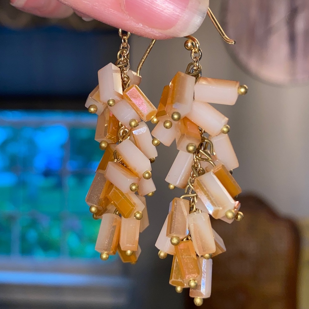 Gold and Tan Dangle Earrings